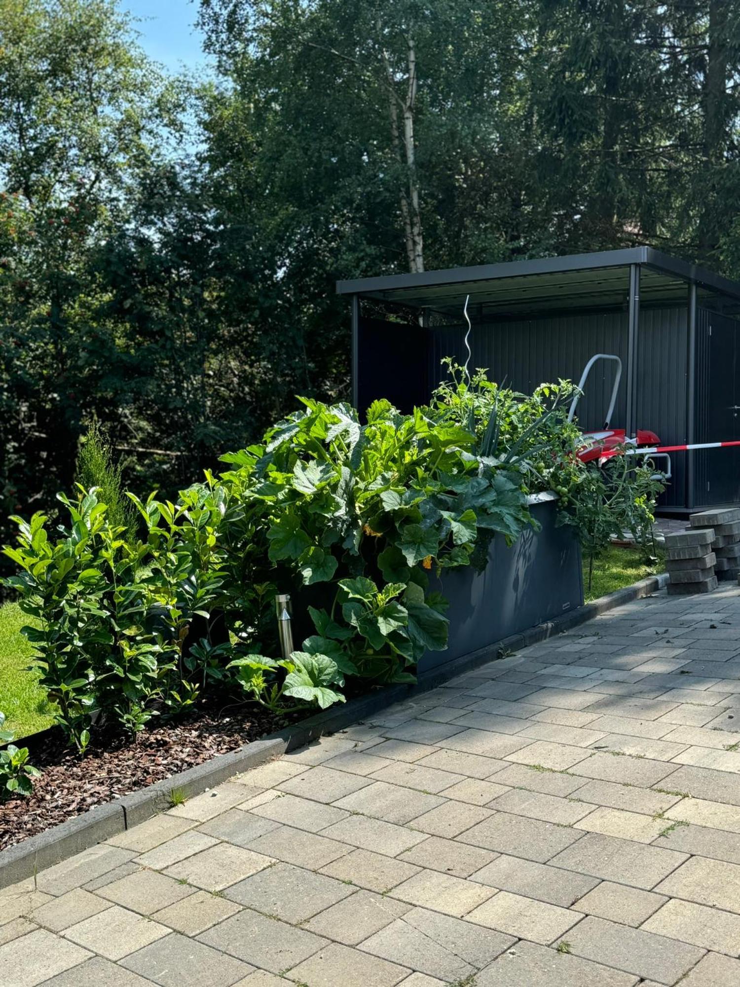 Appartement Max Clausthal-Zellerfeld Buitenkant foto