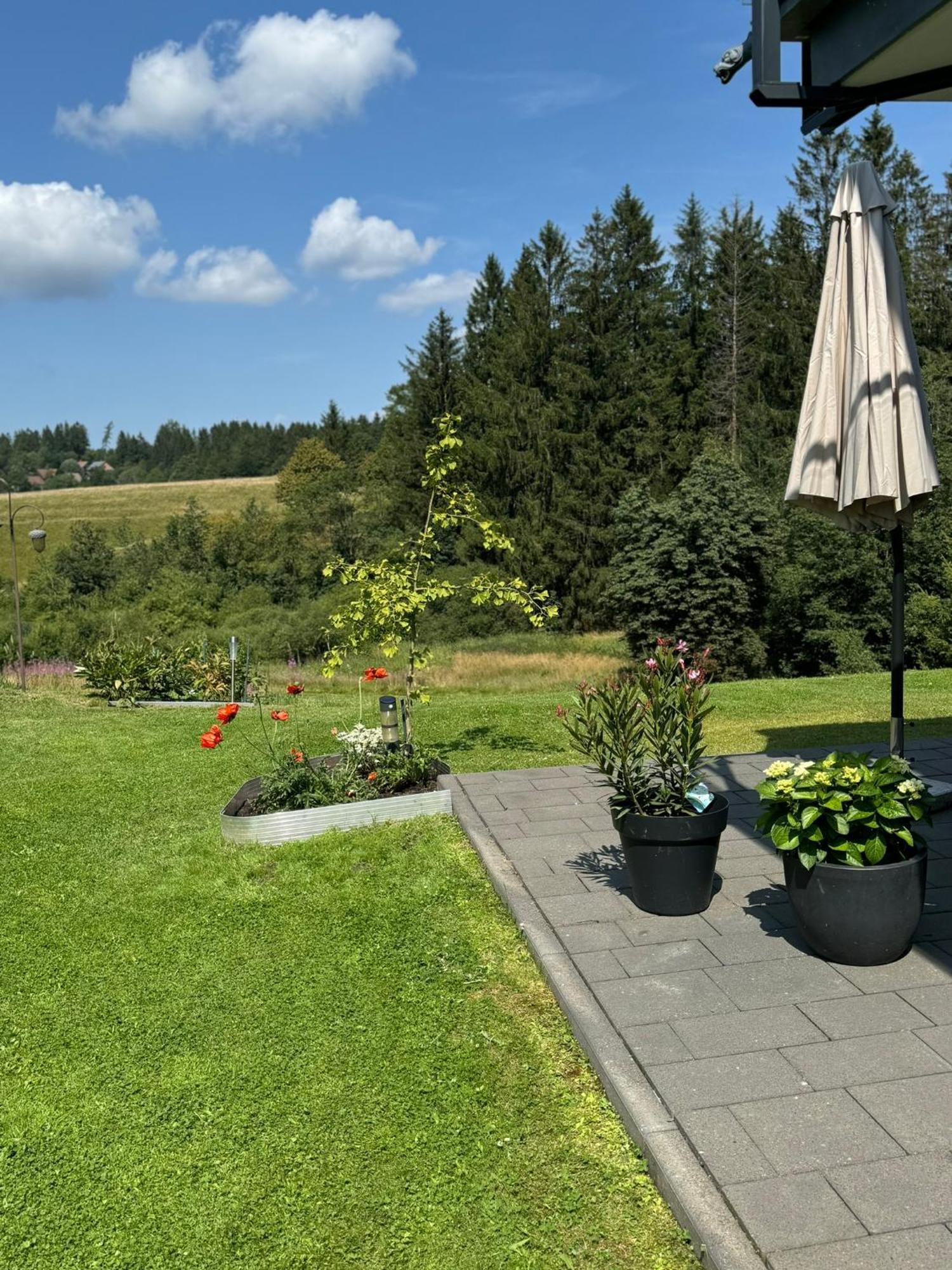 Appartement Max Clausthal-Zellerfeld Buitenkant foto