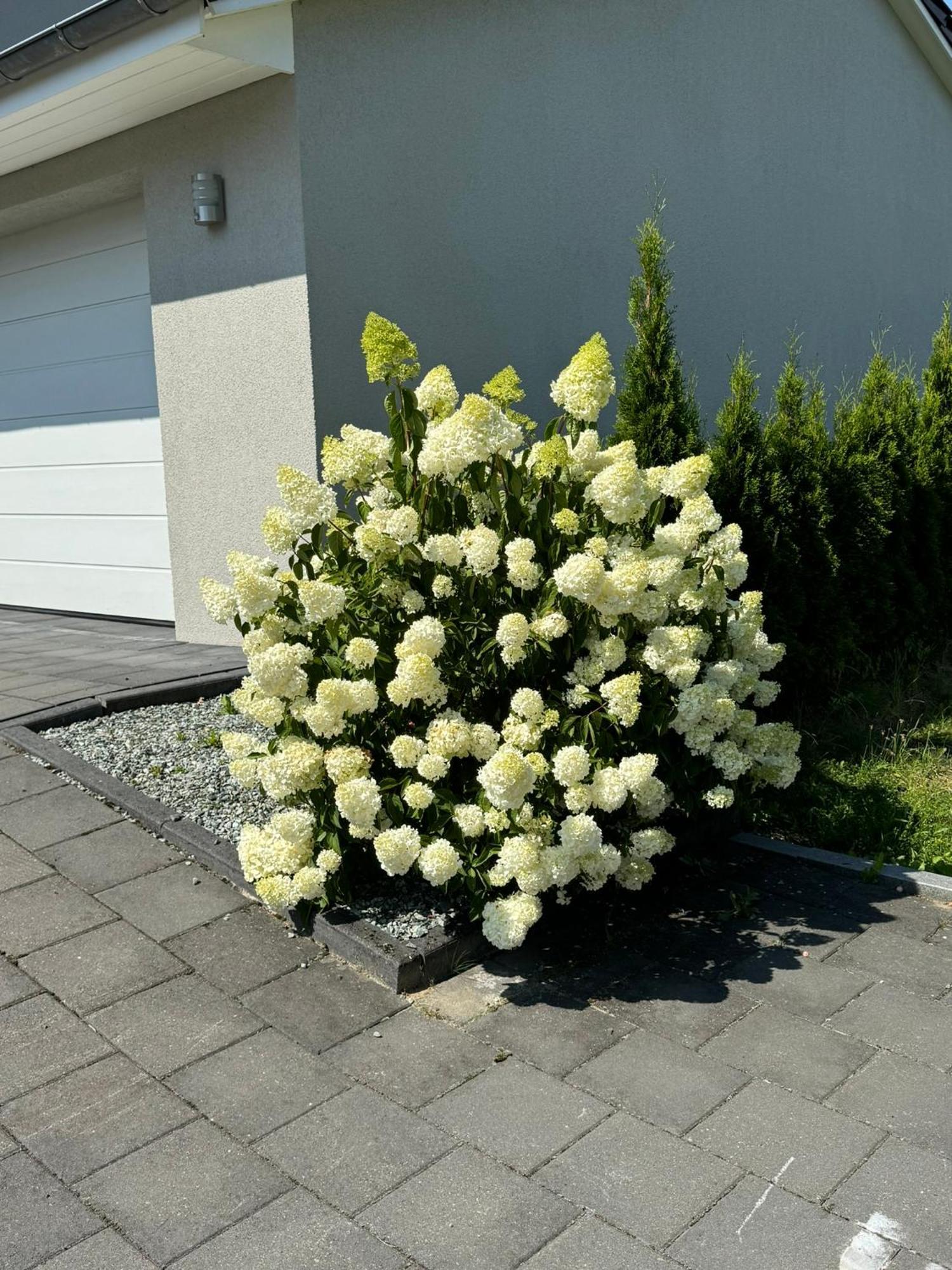 Appartement Max Clausthal-Zellerfeld Buitenkant foto